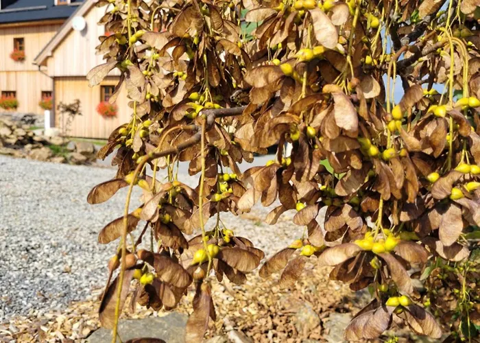 Chata Kvilda Appartement Kvilda